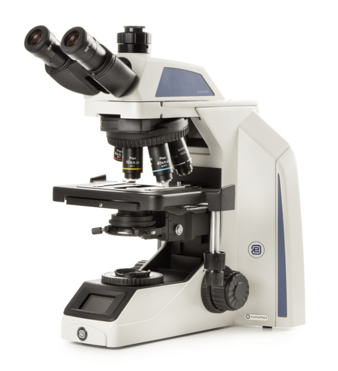 Compound Microscope