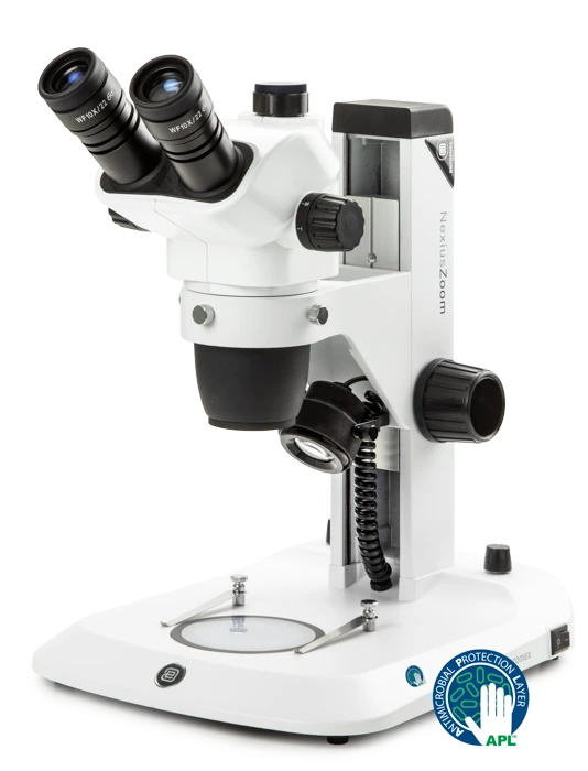 Stereo Microscope