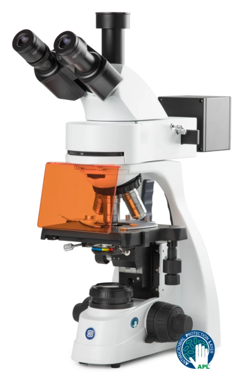 Fluorescence Microscope