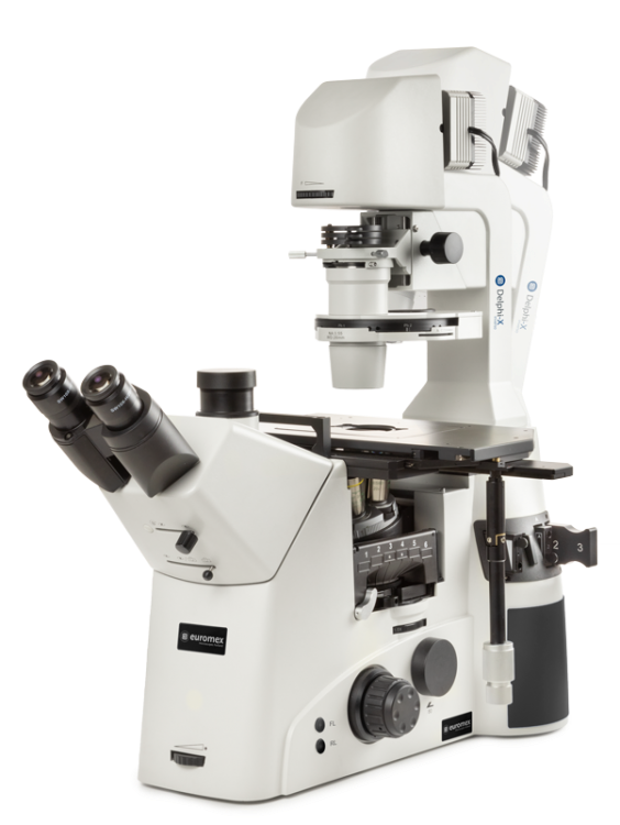 Inverted Microscope