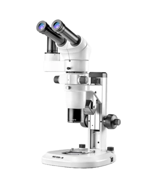 Stereo Microscope